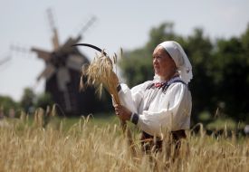 Женщина плетет снопы