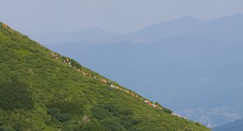 Supporters of Our Ukraine Party