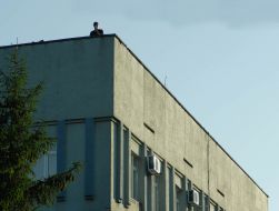 Guard on the roof of “Tavriya” plant