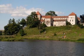 Svirzh castle
