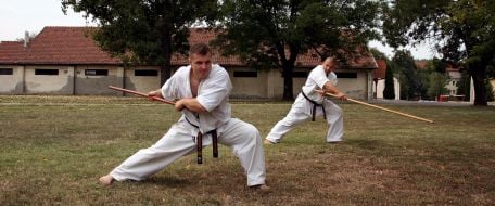 Hungarian practitioners of karate
