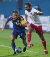 Hamit Altintop and Vyacheslav Shevchuk