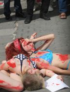 Пикет против открытия сезона охоты