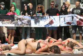 Пикет против открытия сезона охоты