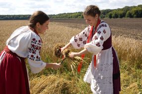 Festival participants harvests
