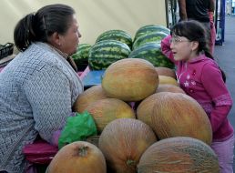 A girl stands near melons and water-melons
