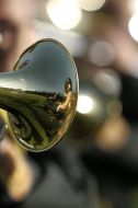 The reflection in trumpet