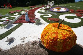 A floral exposition ”Cinderella”