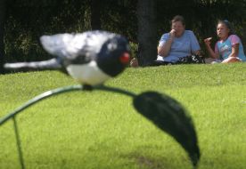 Visitors of exhibition
