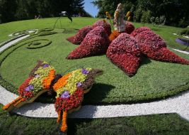 A floral exposition ”Thumberlina”