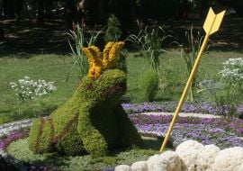A floral exposition ”Frog Princess”