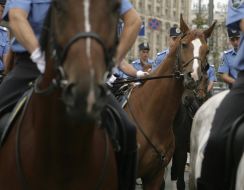 Employees of equestrian subdivision Ministries of internal affairs of Ukraine
