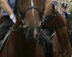 Співробітники кінного підрозділу МВС