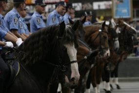 Співробітники кінного підрозділу МВС