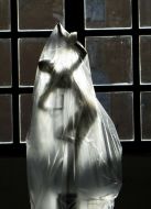 Один из экспонатов выставки ”De profundis”