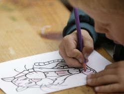 A boy draws a tiger