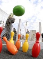 Street bowling