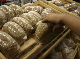 Bread