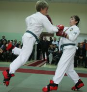 Participants of tournament on a hand-to-hand fighting