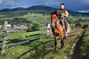 A fellow rides at horse