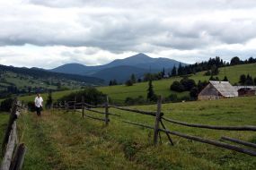 A young man rides at horse
