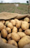Мешок с картошкой