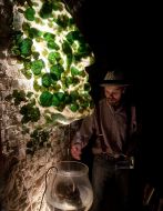 «GogolFEST 2009» modern art festival