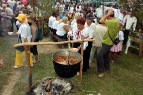 Festival participant