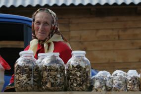 An elderly woman sells the dried mushrooms