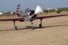The airplanes