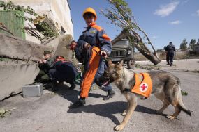 Cynological service employee