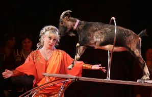 Людмила Шевченко