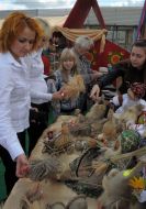 Visitors of fair