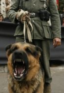 Soldier holds a sheep dog