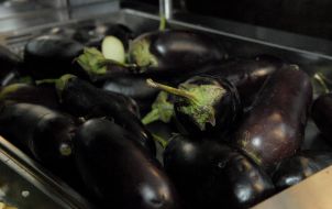 Еggplant