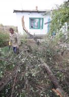 Місцевий житель спилює дерева