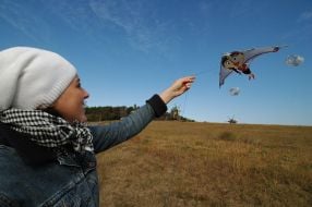 Девушка запускает в небо воздушного змея