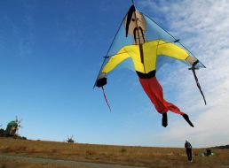 Воздушный змей