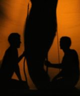 Shadow theater