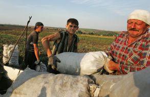 Мішки з картоплею