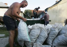 Мішки з картоплею