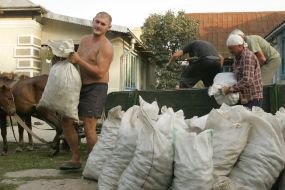 Мішки з картоплею