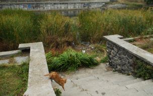 Территория Голубого озера