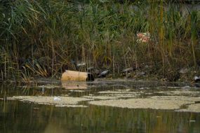 Мусор на берегу Голубого озера