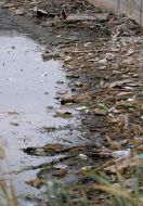 Мусор на берегу Голубого озера