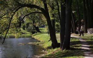 Сырецкая роща