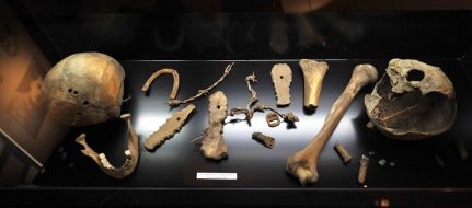 Экспонаты музея