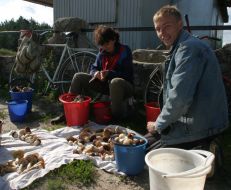 Salespeople shell mushrooms