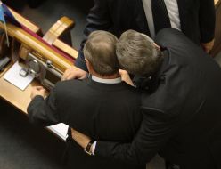 Party of regions deputies