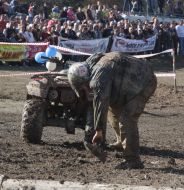 Allukrainian jeep-moto sprint participant